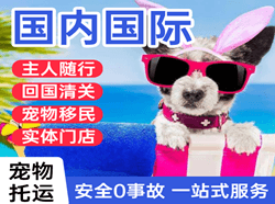 普陀山机场快运国际宠物托运 【国